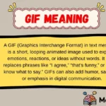 GIF Meaning