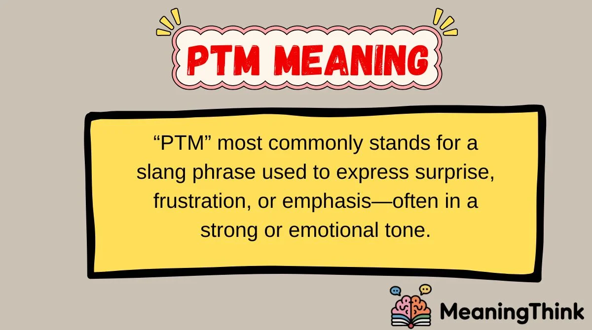 PTM Meaning