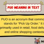 PUO Meaning in Text