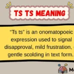 ts ts Meaning