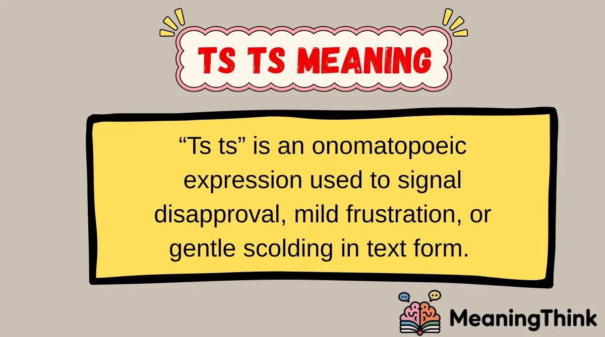 ts ts Meaning