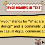 wydd meaning in text
