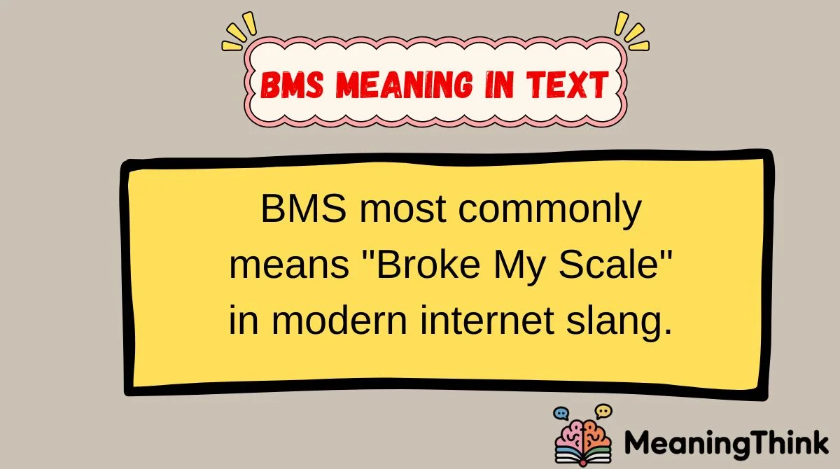 BMS Meaning in Text