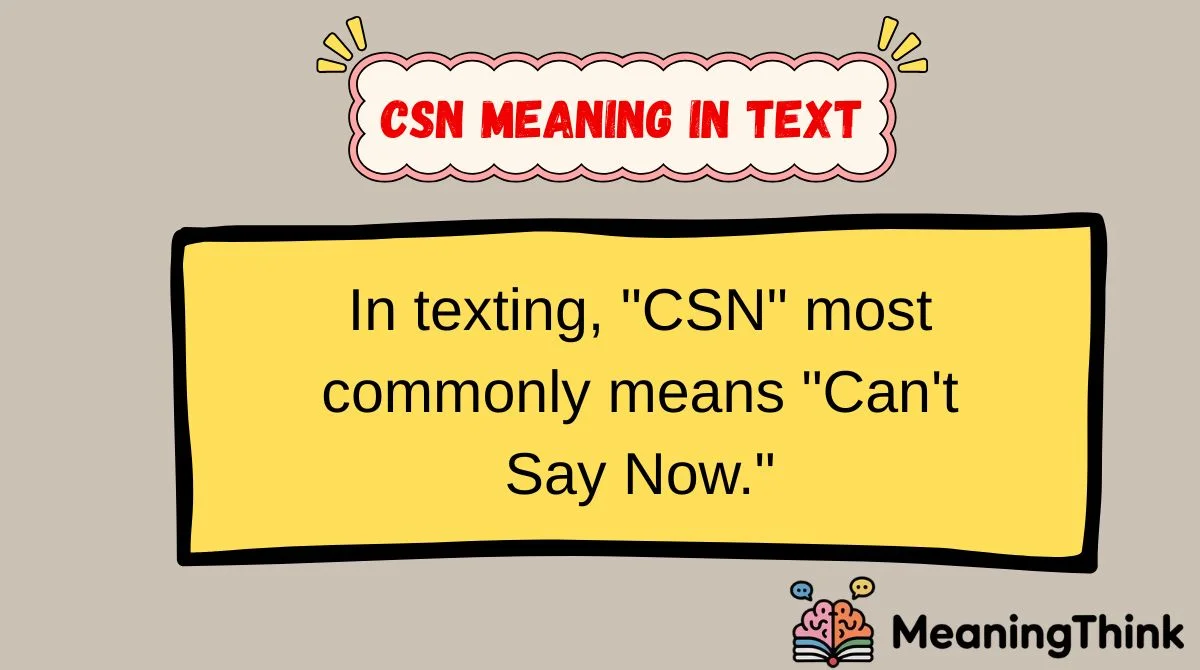 Csn Meaning in Text